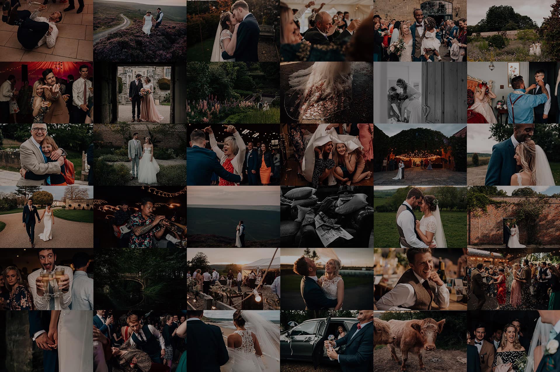 2019 Wedding Photography Highlights