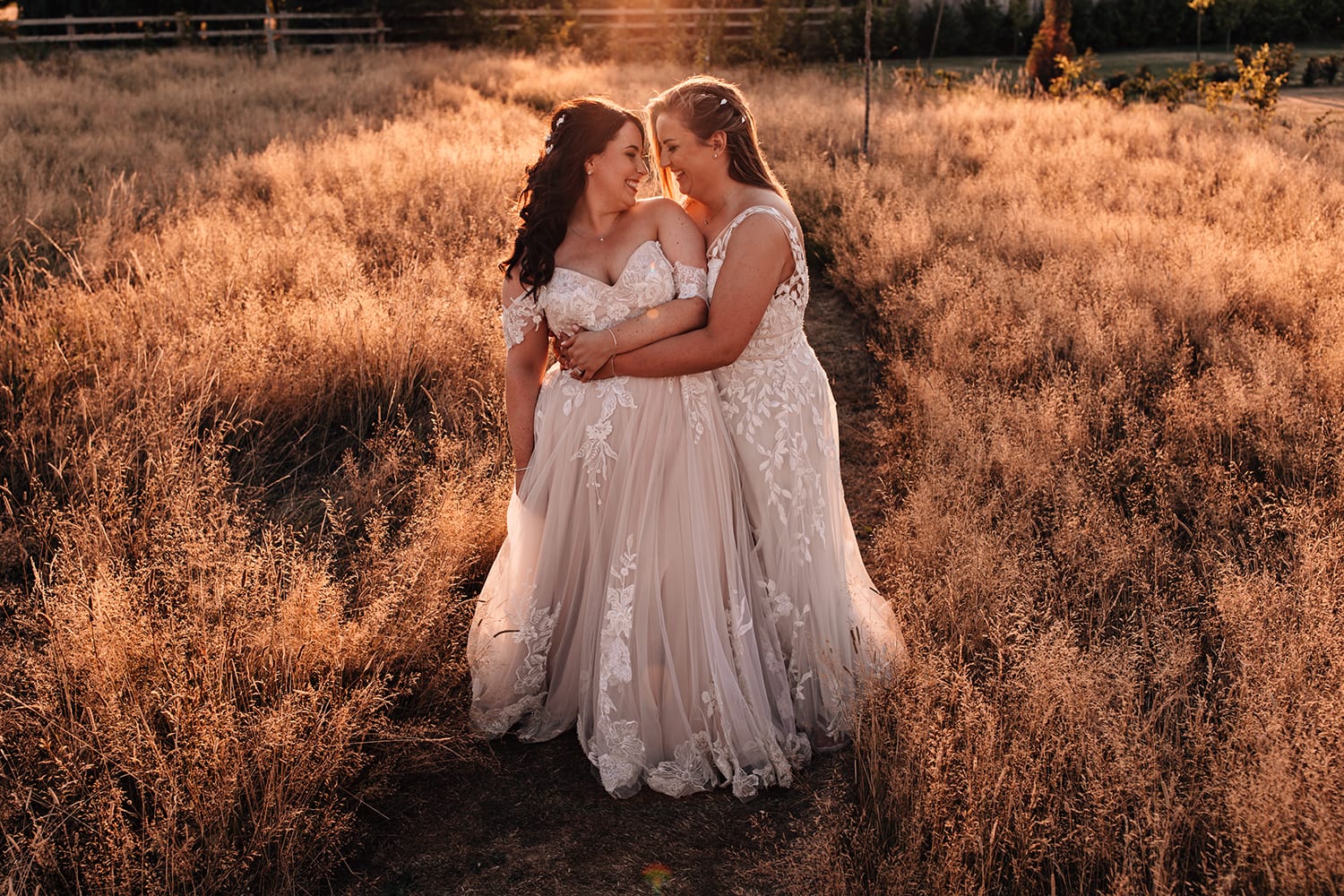 Two brides embracing in a golden, sunset lit field
